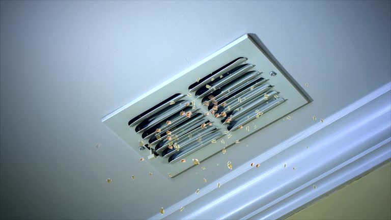 Best Emergency Air Duct Cleaning  in Yorktown, IN